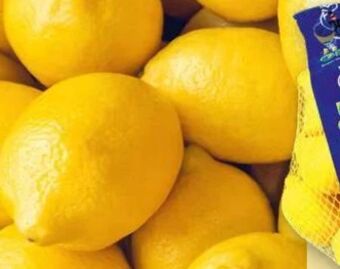 Norma Zitronen Angebot