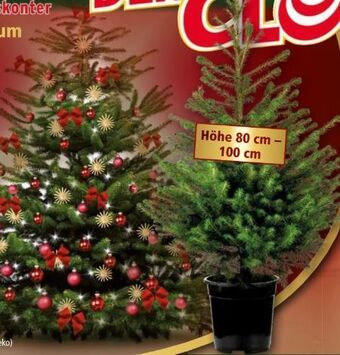 Norma Weihnachtsbaum Angebot