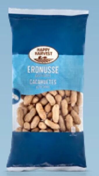 Hofer Erdnüsse Angebot