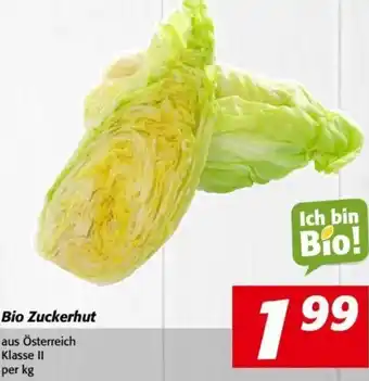 Nah&Frisch Bio Zuckerhut per kg Angebot