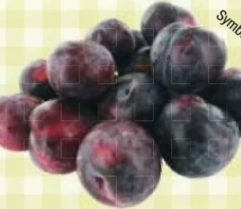 Maximarkt Pflaumen Angebot