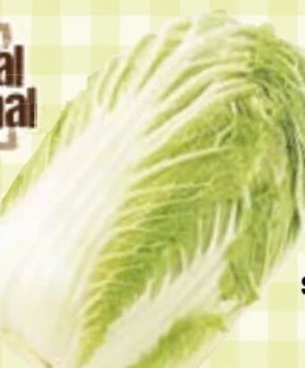 Maximarkt Chinakohl Angebot