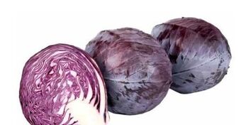 Transgourmet Rotkraut Angebot