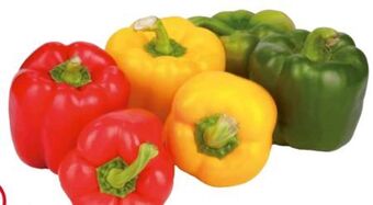 Transgourmet Paprika mix Angebot