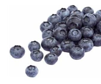 Transgourmet Heidelbeeren Angebot