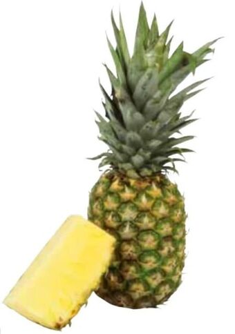 Transgourmet Ananas Angebot