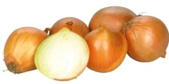 Transgourmet Zwiebel ama Angebot