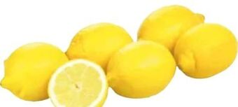 Transgourmet Zitronen Angebot