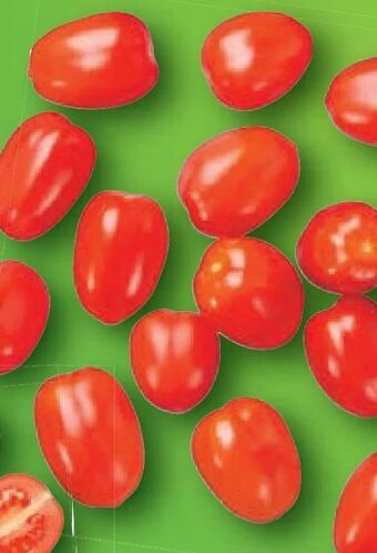 Lidl Dattelcherry tomaten Angebot