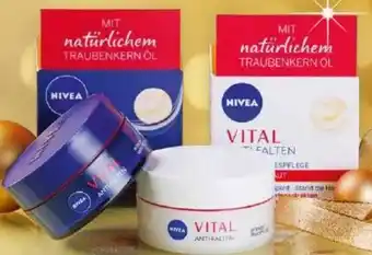 Norma Vital anti-falten tagescreme Angebot