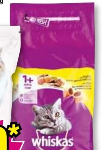 Norma Katzen-trockenfutter Angebot