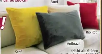 Norma Kissen kaschmir touch Angebot