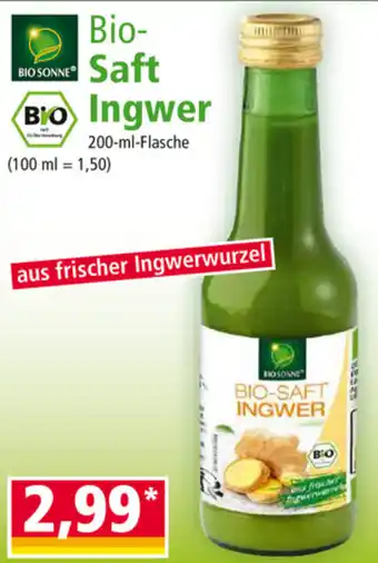 Norma Bio-Saft Ingwer Angebot