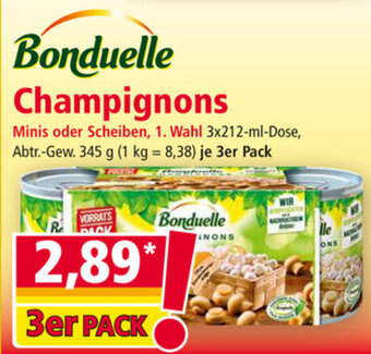 Norma Bonduelle Champignons Angebot