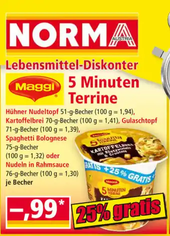 Norma Maggi Lebensmittel-Diskonter Angebot