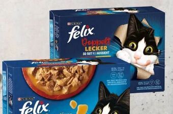 Spar Felix katzennahrung Angebot