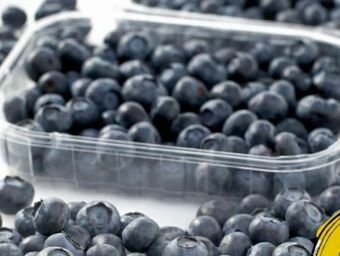 Spar Heidelbeeren Angebot