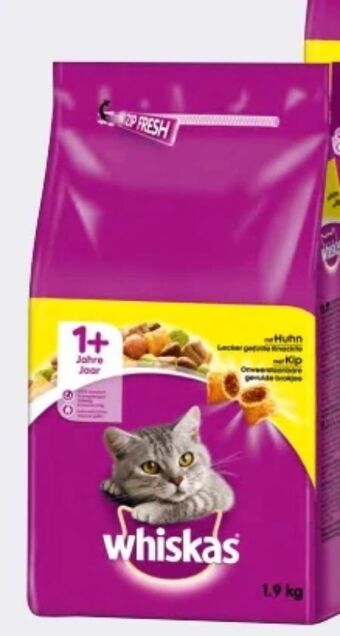 Interspar Katzentrockennahrung Angebot