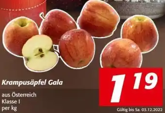 Nah&Frisch Krampusäpfel Gala per kg Angebot