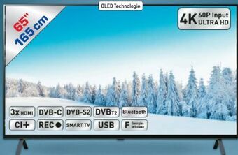Metro Oled tv 65a29la Angebot