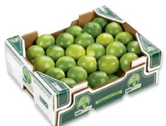 Metro Limetten Angebot