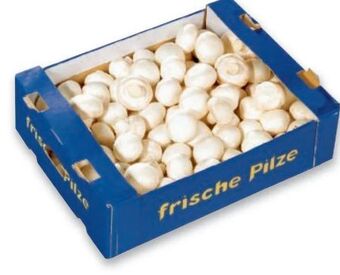 Metro Champignons Angebot