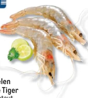 Metro Garnelen white tiger Angebot