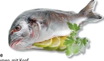 Metro Goldbrasse Angebot