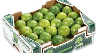 Metro Limetten Angebot