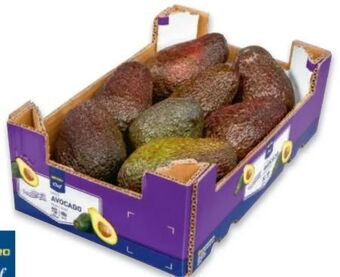 Metro Avocado hass Angebot