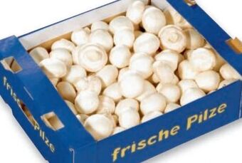 Metro Champignons Angebot