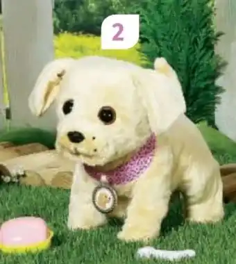 Müller My lucky dog Angebot