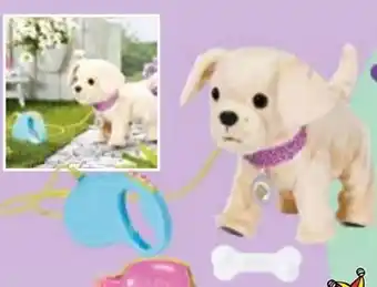 Maximarkt Baby born my lucky dog Angebot