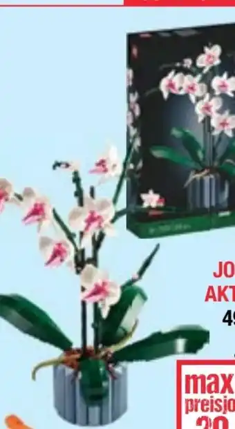Maximarkt Expert 10311 orchidee Angebot