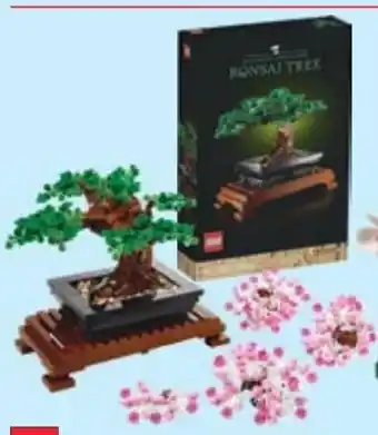 Maximarkt 10281 bonsai baum Angebot