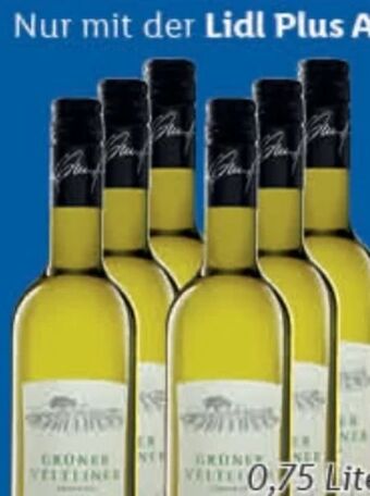 Lidl Grüner veltliner Angebot