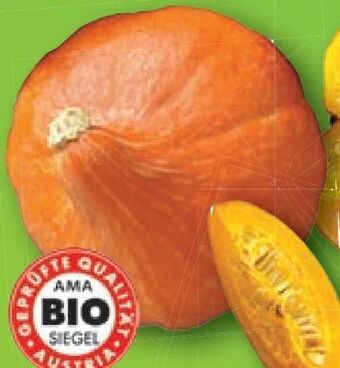 Lidl Bio speisekürbis hokkaido Angebot