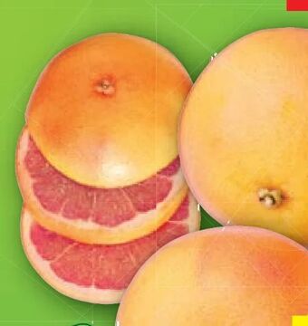 Lidl Grapefruit Angebot
