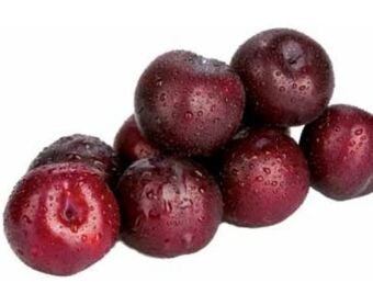 Transgourmet Pflaumen Angebot