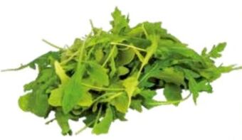 Transgourmet Bio rucola Angebot