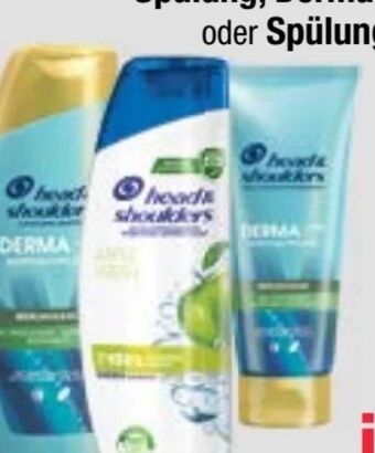 Maximarkt Shampoo Angebot