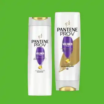 0815 Volumen+ Shampoo Angebot
