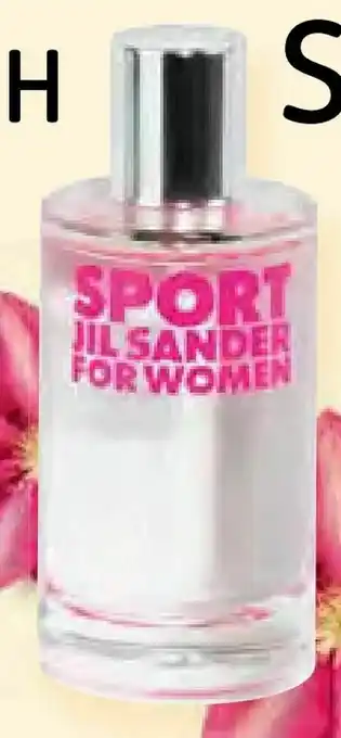 dm Sport for Women EdT Angebot