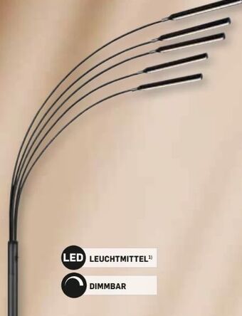 Möbel Ludwig Led-stehleuchte Angebot