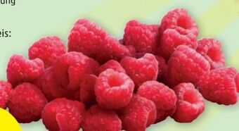 PENNY Himbeeren Angebot