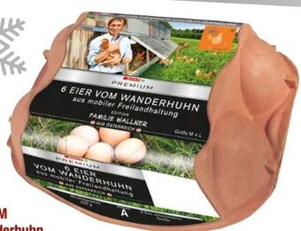 Spar Eier Angebot