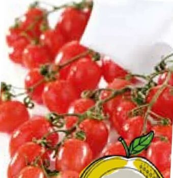 Spar Datterini tomaten Angebot