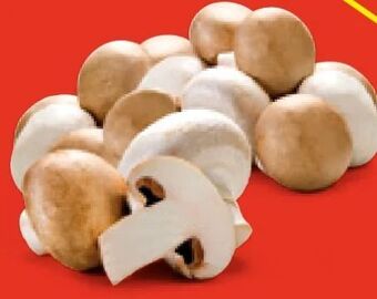 Hofer Champignons Angebot