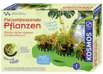 Müller Fleischfressende pflanzen Angebot