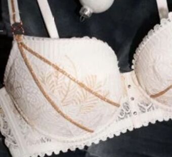 Palmers Schalen bh glisten lace Angebot